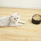 Pet Neck Protection Cat Oblique Mouth Anti-tumble Bowl