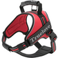 TrueLove Outdoor Adventure Dog Harness  Model Number: TLH5753