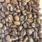 Ethiopia Buncho Honey Sidama Light Roast