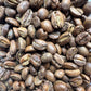 Costa Rica Café Vida Lavado