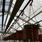 String of Pearls