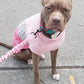 Color Block Cable Knit Dog Sweater – Turtleneck Pullover XS–XL