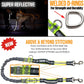 Hands Free Dog Leash Two Dogs Double Bungee Reflective Running Kit