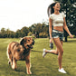 16 ft Retractable Dog Leash with Dispenser and Poop Bags