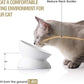 Ceramic Raised Cat Bowls