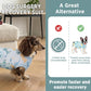 Female Dog Recovery Onesie Suit After Spay – 3 Patterns, S–2XL