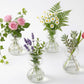 Clear Glass Bud Vases - Propagation Stations (Set of 4)