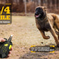 Dog Training Collar Remote Waterproof 3/4 Mile Range Rechargeable