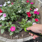 Weeding Set - Includes Dandelion Weeder, Weeding Fork, Patio Crack Weeder