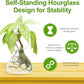 Clear Glass Bud Vases - Propagation Stations (Set of 8)