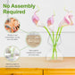 Clear Glass Bud Vases - Propagation Stations (Set of 8)