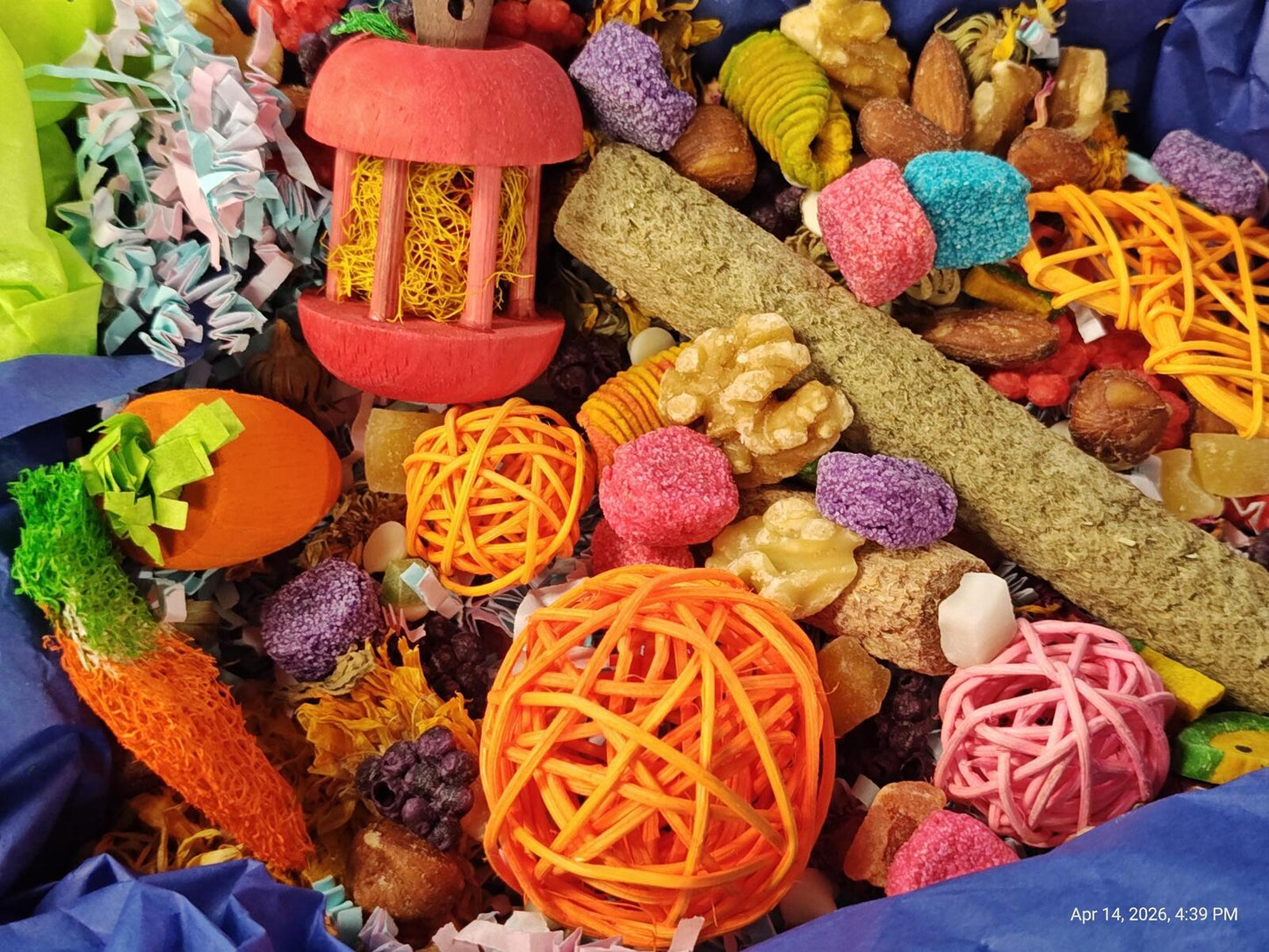 Play & Chew Rodent Fun  "No More Boredom" Box - Rats, Mice, Gerbils, Hamsters...