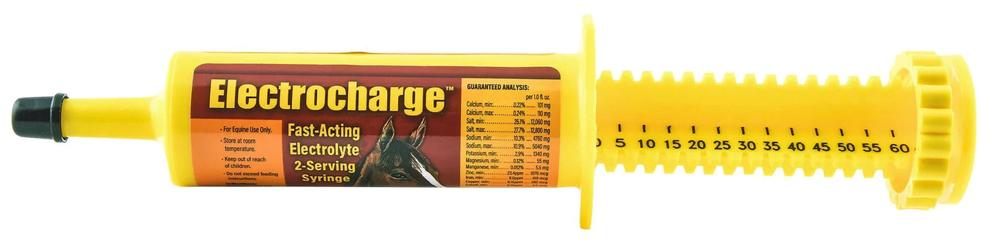 Finish Line Electrocharge Horse Electrolyte 2 oz. Fast Acting Oral Hydration
