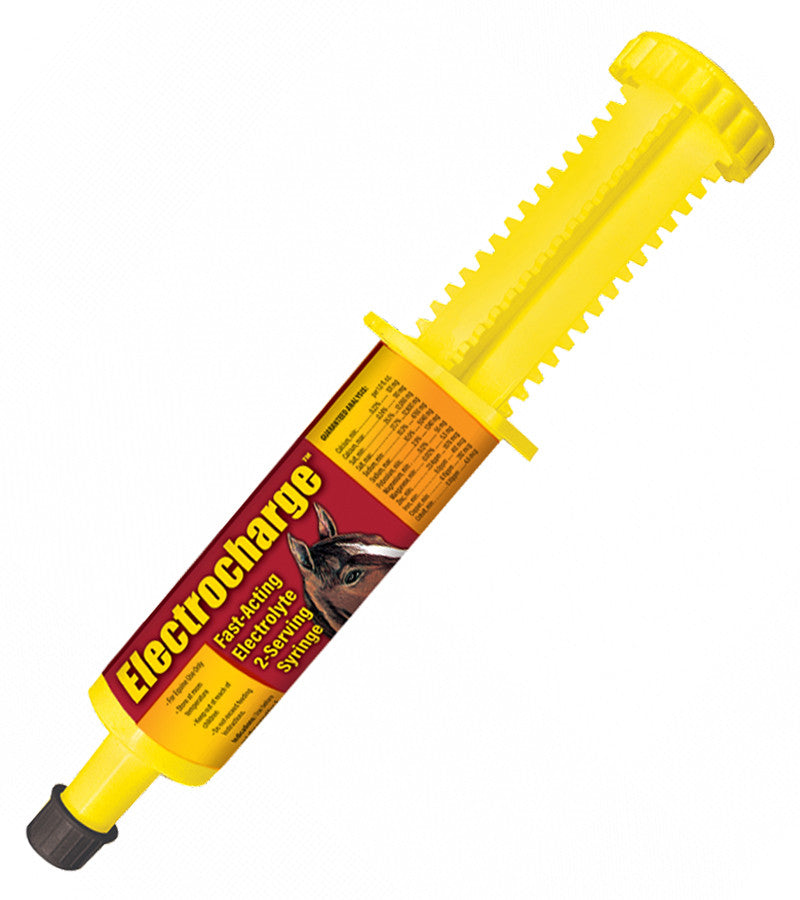 Finish Line Electrocharge Horse Electrolyte 2 oz. Fast Acting Oral Hydration