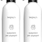Waterless Pet Shampoo 2 Pack No Rinse Deodorizing Spray Dogs Cats