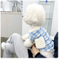 Cute Home Clothes For Pet Cats And Dogs