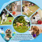 Dog Balls, Tennis Balls For Dogs,Colorful Easy Catching Pet Playing Ball