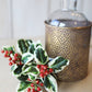 18" Variegated Faux Holly Stem