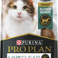 Comida para gatos alta en proteínas
