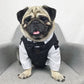 Pet wedding suit