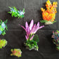 Premium Artificial Aquarium Plant Package for Fish Tank, COLOR HEAVEN
