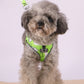 Pet's Chest-back Traction Dog Walking Chest Strap