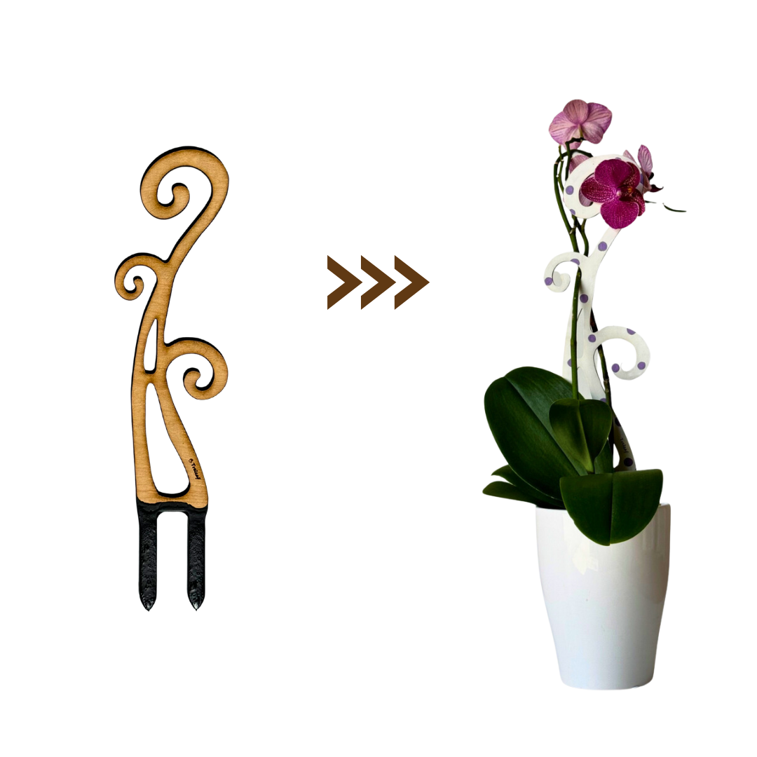 BARE™ Flora™ - Customizable wooden plant support - Perfect for Orchids