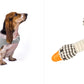 Anxiety Jacket Vest Summer Medical Treatment To Calm Down Cat Clothes Dog Comfort Clothes