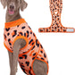 Dog Recovery Onesie Suit After Surgery – 4 Colors, XS–2XL