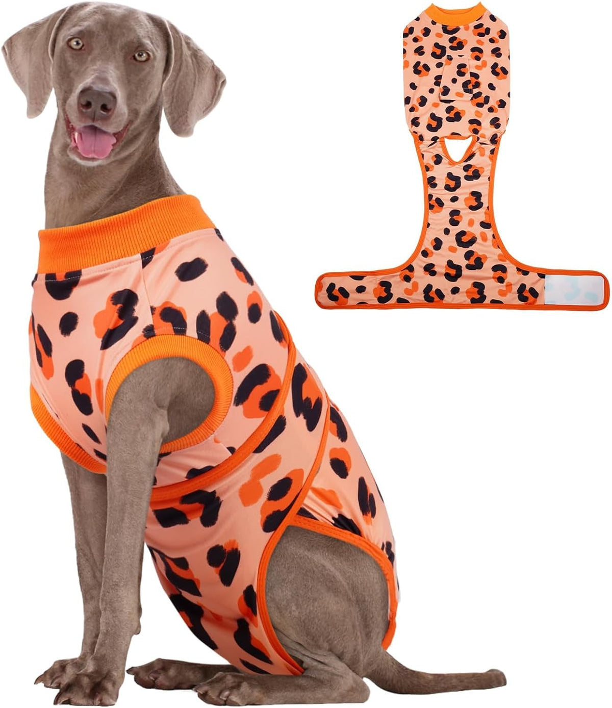 Dog Recovery Onesie Suit After Surgery – 4 Colors, XS–2XL