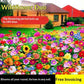 Easy-to-grow Outdoor Flower Seeds For Your Yard