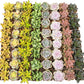 Bulk Succulent Plants