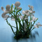 Artificial Aquarium Plant for Fish Tanks, LARGE aquarium plastic plant, 15" TALL
