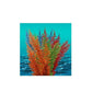 Nature's Image: Aquafern Medium, Freshwater 6" Red, Green or Rainbow Decor