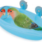 Bird Bath with Mirror Portable