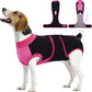 Female Dog Recovery Suit After Spay, XS–2XL