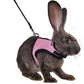 Adjustable Soft Harness with Elastic Leash for Rabbits (M, Pink)