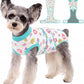 Female Dog Recovery Suit After Spay, XS–2XL