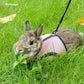 Adjustable Soft Harness with Elastic Leash for Rabbits (M, Pink)