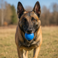 Pack de 2 juguetes para perros Glitter Ball | Pelota de búsqueda flotante de goma suave con dispensador de premios | Fabricado en EE. UU.