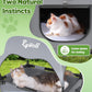 Elevated 2-Tier Outdoor Cat House with Canopy, Mesh Sides & Reversible Pad