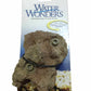 Tetra Water Wonders Coral Plant Base Brown (Small)