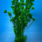 Artificial Aquarium Plant for Fish Tanks, LARGE aquarium plastic plant, 25" TALL