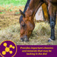 Horse Health Red Cell Supplement 32 oz. Yucca Vitamin Iron Mineral Blood Builder