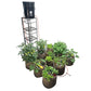 Preset Blumat Grow Tent Irrigation Kit