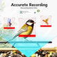 Bird Feeder Camera WiFi Smart AI Motion Detection 1080P 1.5L