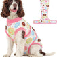 Dog Recovery Onesie Suit After Surgery – 4 Colors, XS–2XL