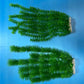Artificial Aquarium Plant for Fish Tanks, LARGE aquarium plastic plant, 21" TALL