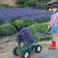 Dried Lavender Bundles for Home Decor Aromatherapy Floral Display