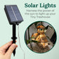 Solar LED Lights